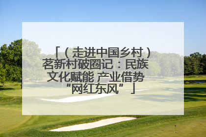 （走进中国乡村）茗新村破圈记：民族文化赋能 产业借势 “网红东风”