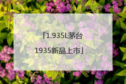 1.935L茅台1935新品上市
