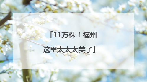 11万株！福州这里太太太美了