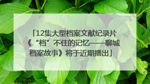 12集大型档案文献纪录片《“档”不住的记忆——聊城档案故事》将于近期播出