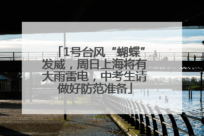 1号台风“蝴蝶”发威，周日上海将有大雨雷电，中考生请做好防范准备