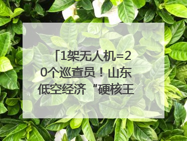 1架无人机=20个巡查员！山东低空经济“硬核王炸”亮相青岛，下一个万亿赛道藏在这里