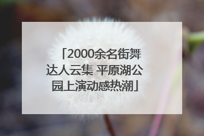2000余名街舞达人云集 平原湖公园上演动感热潮