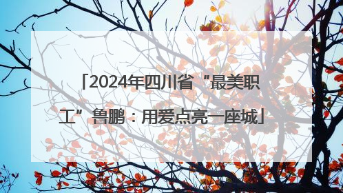 2024年四川省“最美职工”鲁鹏：用爱点亮一座城