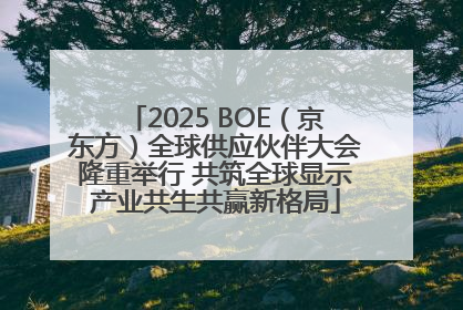 2025 BOE（京东方）全球供应伙伴大会隆重举行 共筑全球显示产业共生共赢新格局