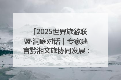 2025世界旅游联盟·洞庭对话｜专家建言黔湘文旅协同发展：聚焦产品稀缺性 深化区域经验共享