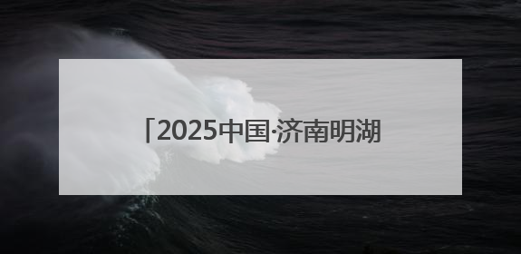2025中国·济南明湖龙舟文化节暨第二十四届明湖龙舟邀请赛火热开赛