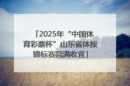 2025年“中国体育彩票杯”山东省体操锦标赛圆满收官