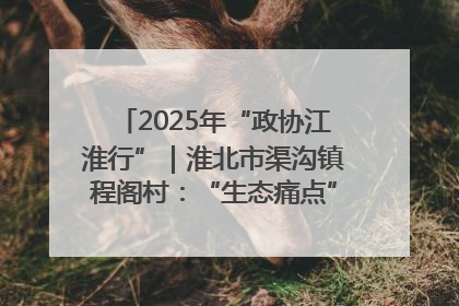 2025年“政协江淮行”｜淮北市渠沟镇程阁村：“生态痛点”变“生态景观”
