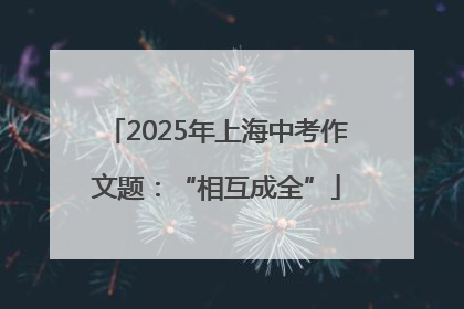 2025年上海中考作文题：“相互成全”