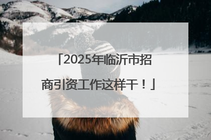 2025年临沂市招商引资工作这样干！