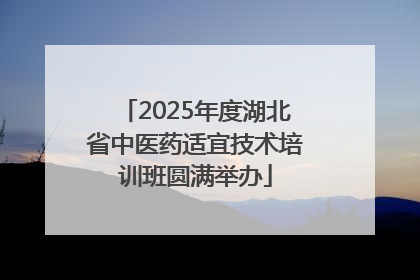 2025年度湖北省中医药适宜技术培训班圆满举办