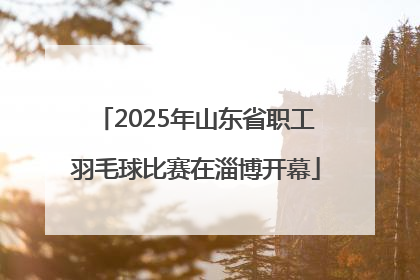 2025年山东省职工羽毛球比赛在淄博开幕
