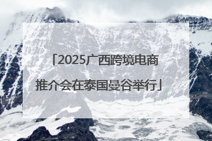 2025广西跨境电商推介会在泰国曼谷举行