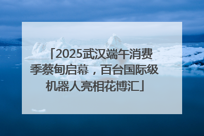 2025武汉端午消费季蔡甸启幕，百台国际级机器人亮相花博汇