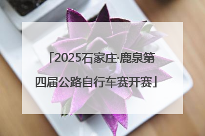 2025石家庄·鹿泉第四届公路自行车赛开赛
