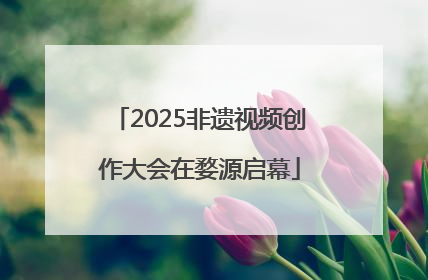 2025非遗视频创作大会在婺源启幕
