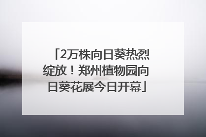 2万株向日葵热烈绽放！郑州植物园向日葵花展今日开幕