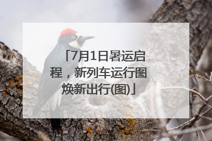 7月1日暑运启程，新列车运行图焕新出行(图)