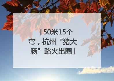 50米15个弯，杭州“猪大肠”路火出圈