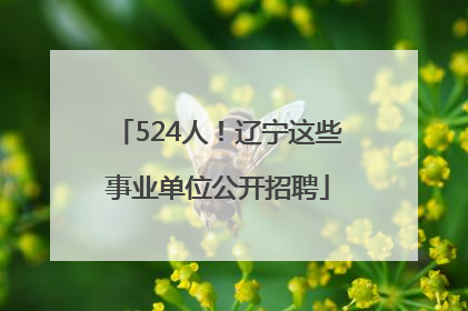 524人！辽宁这些事业单位公开招聘