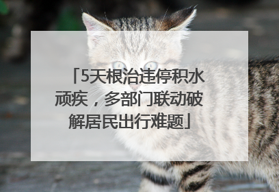 5天根治违停积水顽疾，多部门联动破解居民出行难题