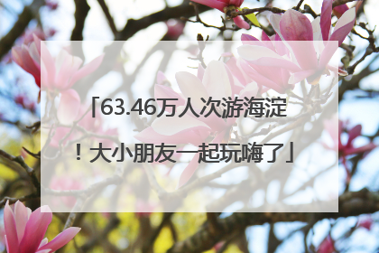 63.46万人次游海淀！大小朋友一起玩嗨了