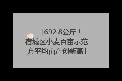 692.8公斤！宿城区小麦百亩示范方平均亩产创新高