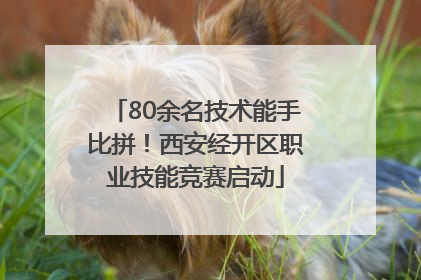 80余名技术能手比拼！西安经开区职业技能竞赛启动