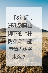 8年后，迁移到吴山脚下的“朴树弟弟”能申请古树名木么？