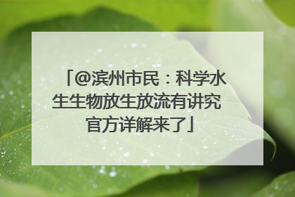 @滨州市民：科学水生生物放生放流有讲究 官方详解来了