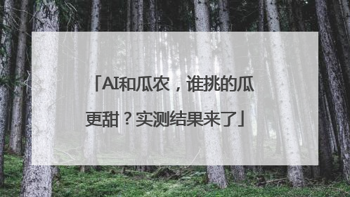 AI和瓜农，谁挑的瓜更甜？实测结果来了