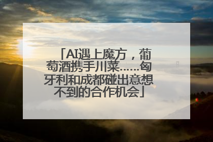 AI遇上魔方，葡萄酒携手川菜……匈牙利和成都碰出意想不到的合作机会