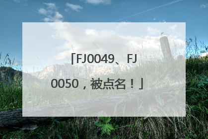 FJ0049、FJ0050，被点名！