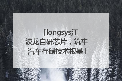 longsys江波龙自研芯片，筑牢汽车存储技术根基